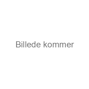 Bog til Norge