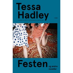 Tessa Hadley, Festen og andre noveller