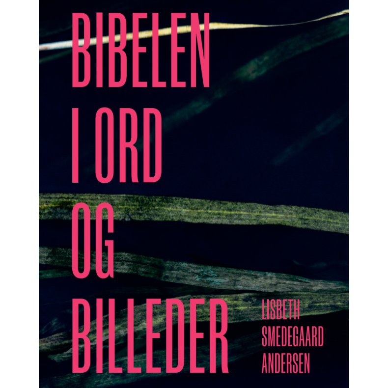 Lisbeth Smedegaard Andersen, Bibelen i ord og billeder