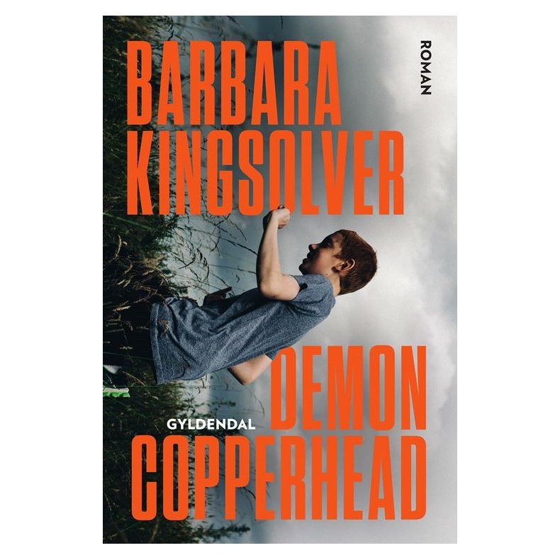 Barbara Kingsolver, Demon Copperhead