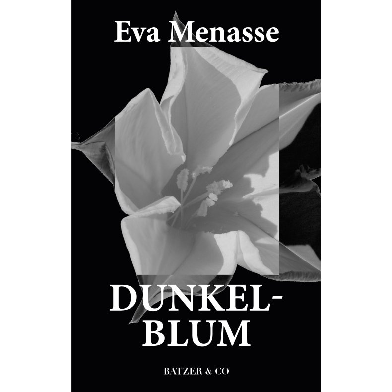 Eva Menasse, Dunkelblum