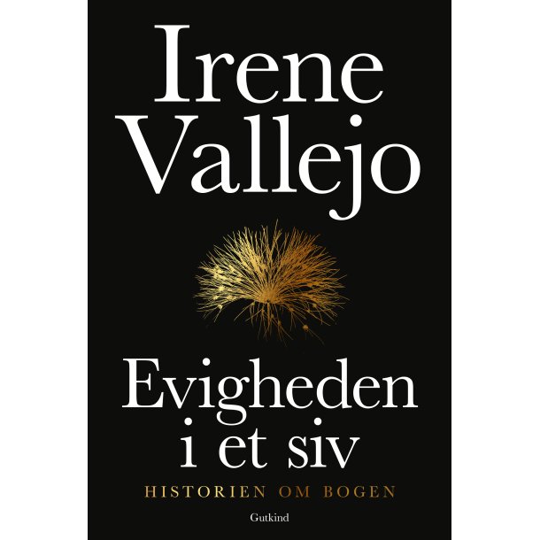 Irene Vallejo, Evigheden i et siv - Historien om bogen