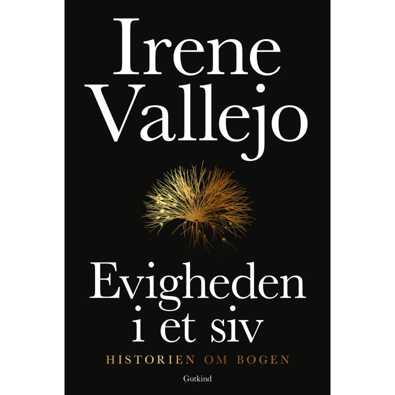 Irene Vallejo, Evigheden i et siv - Historien om bogen