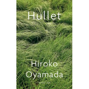 Hiroko Oyamada, Hullet