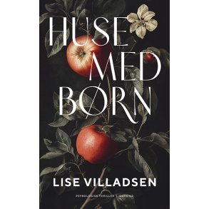 Lise Villadsen, Huse med brn