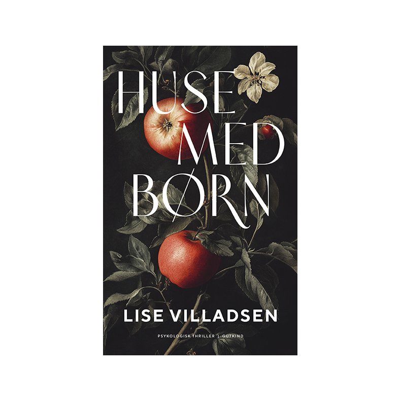 Lise Villadsen, Huse med brn