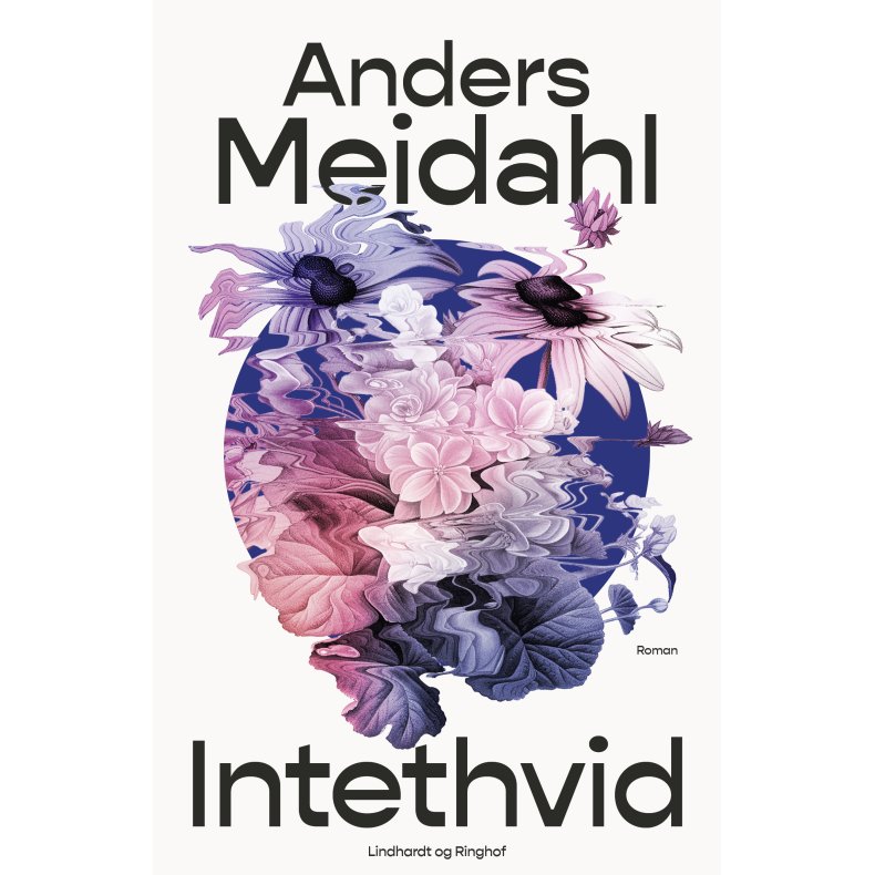 Anders Meidahl, Intethvid