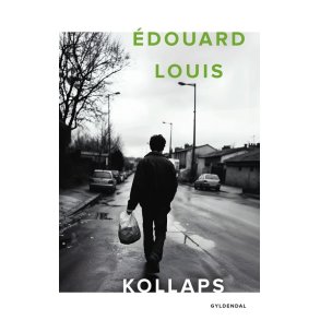 douard Louis, Kollaps