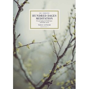 Niels Lyngs, De frste hundred dages meditation - Din egen logbog 