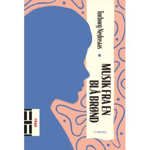 Torborg Nedreaas, Musik fra en bl brnd