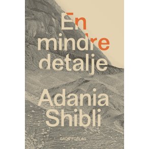 Adania Shibli, En mindre detalje