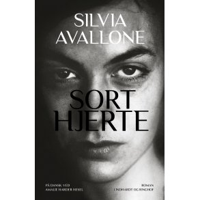 Silvia Avallone, Sort hjerte