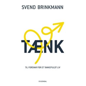 Svend Brinkmann, Tnk